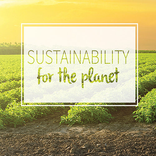 sustainability for the planet