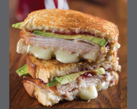 Cranberry, Turkey and Brie Panini