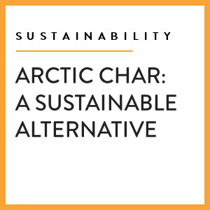 Arctic Char: A Sustainable Alternative